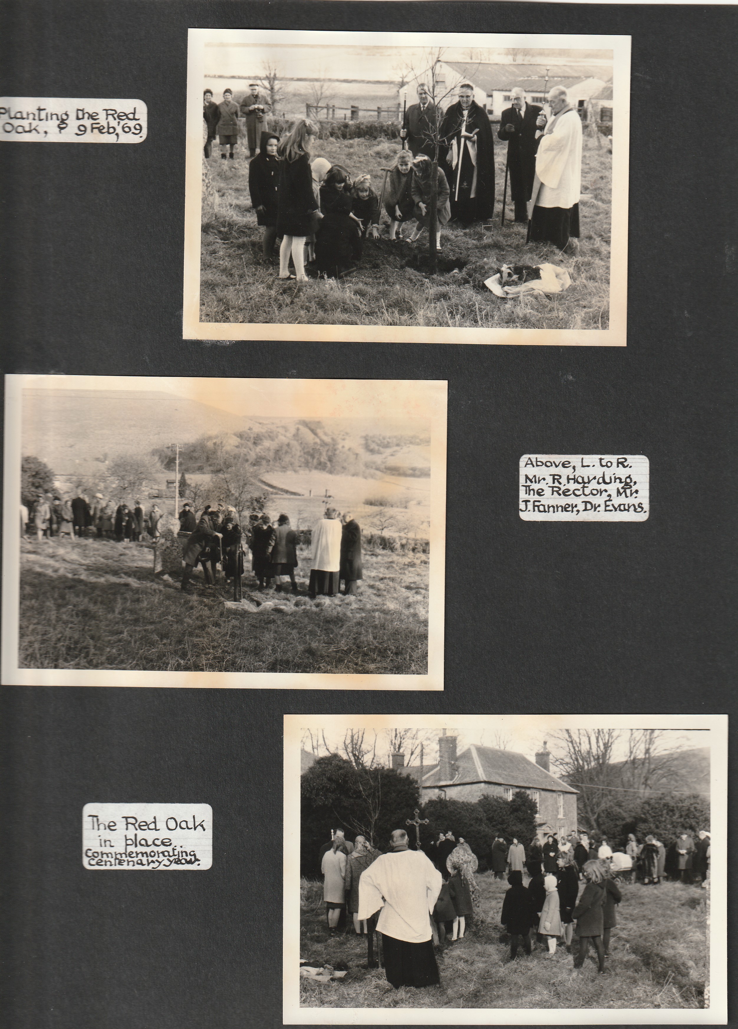 planting of the red oak 1968